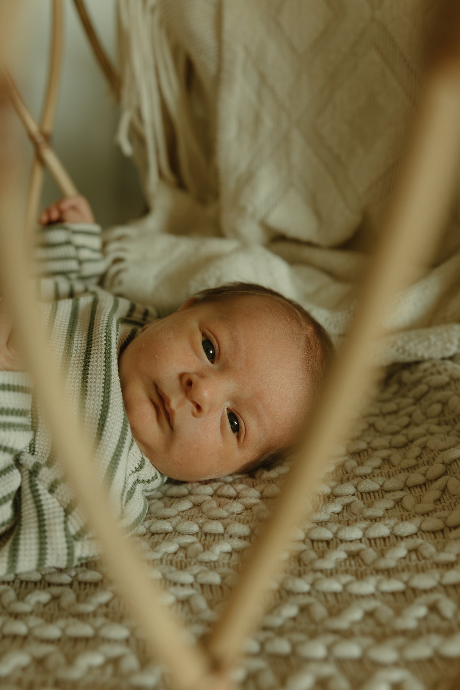 newborn Image