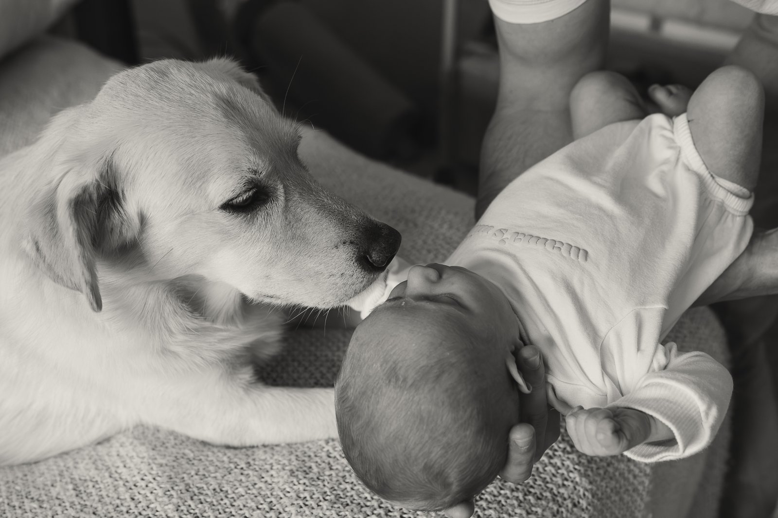 newborn Image