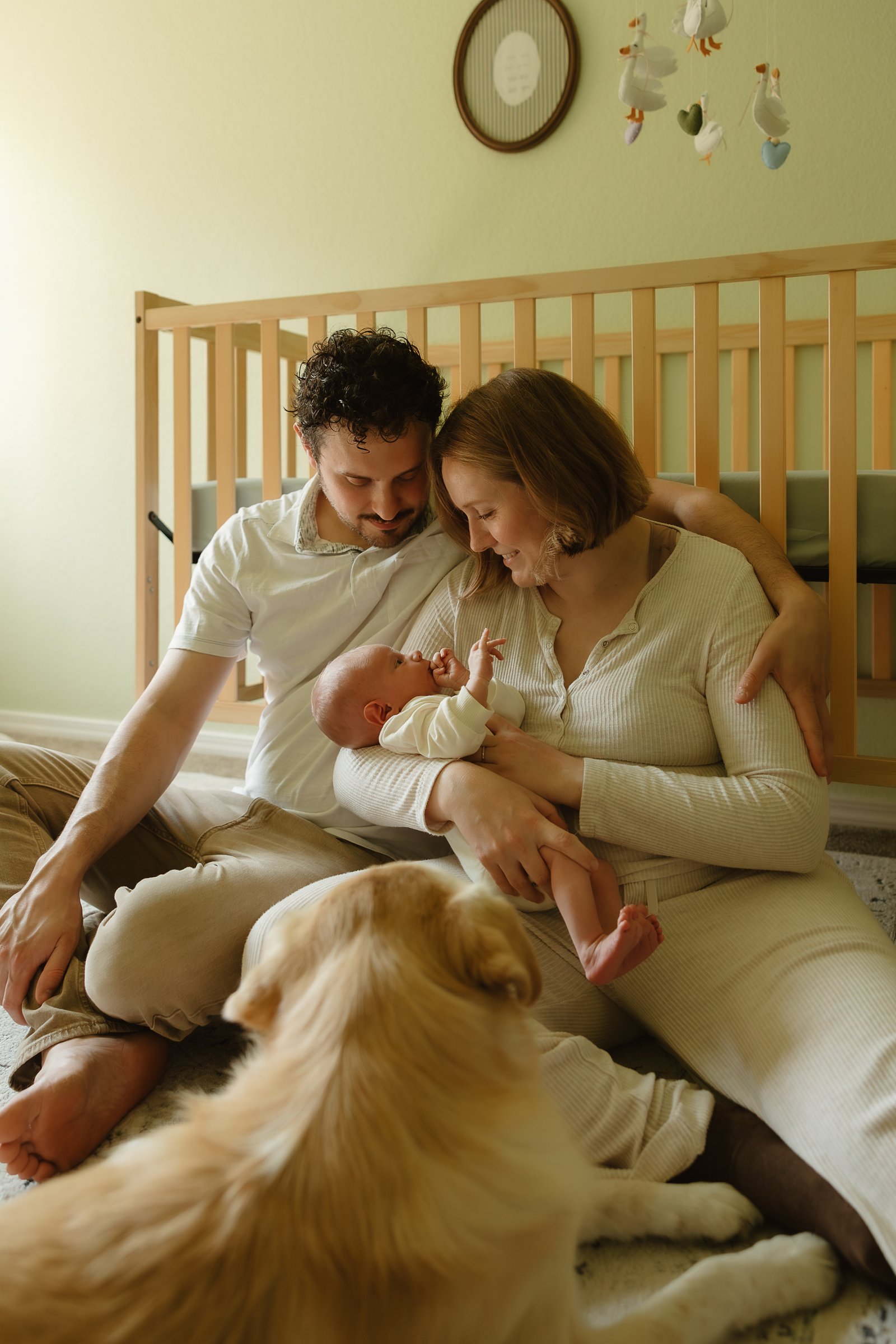 newborn Image