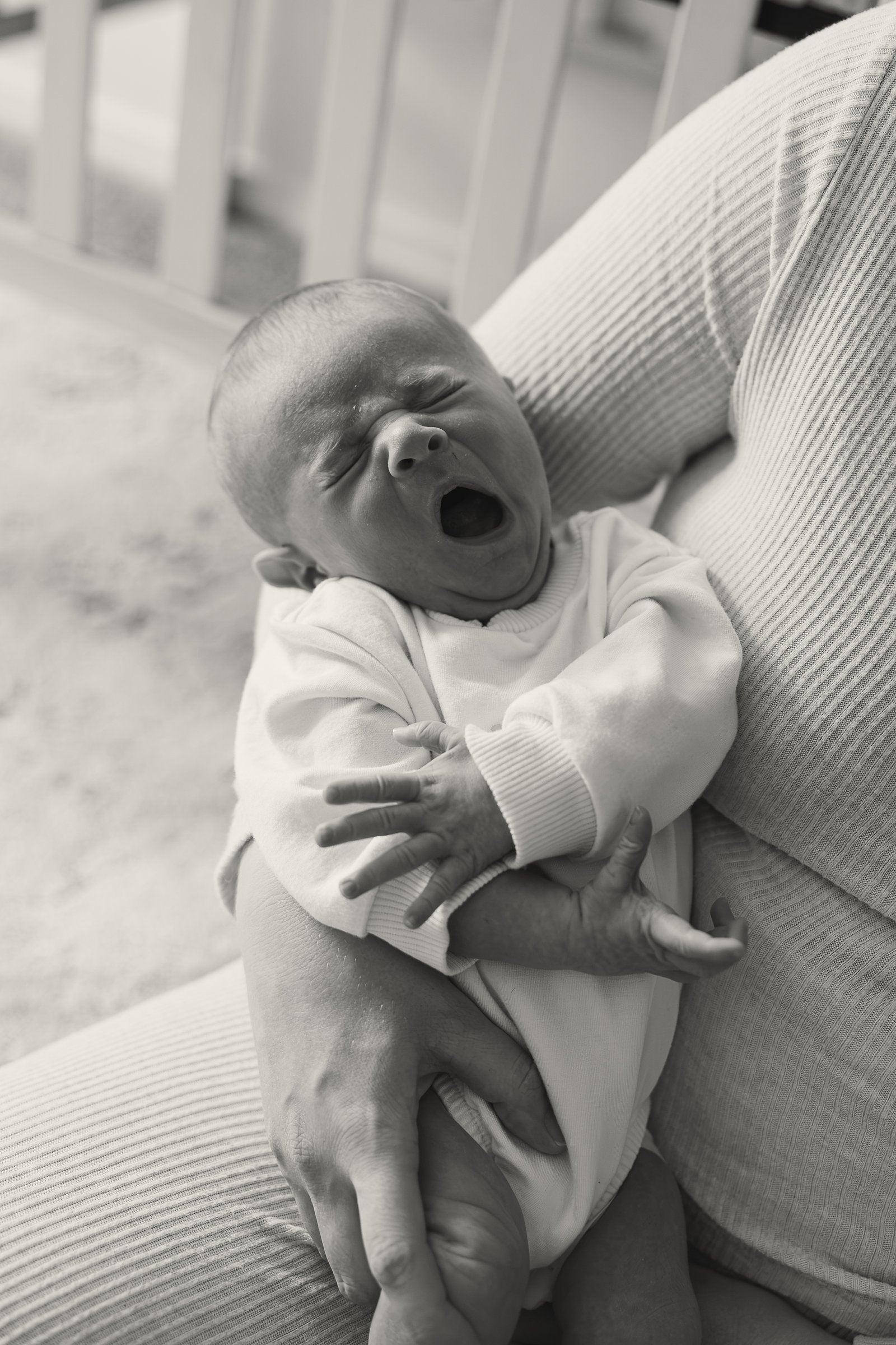 newborn Image