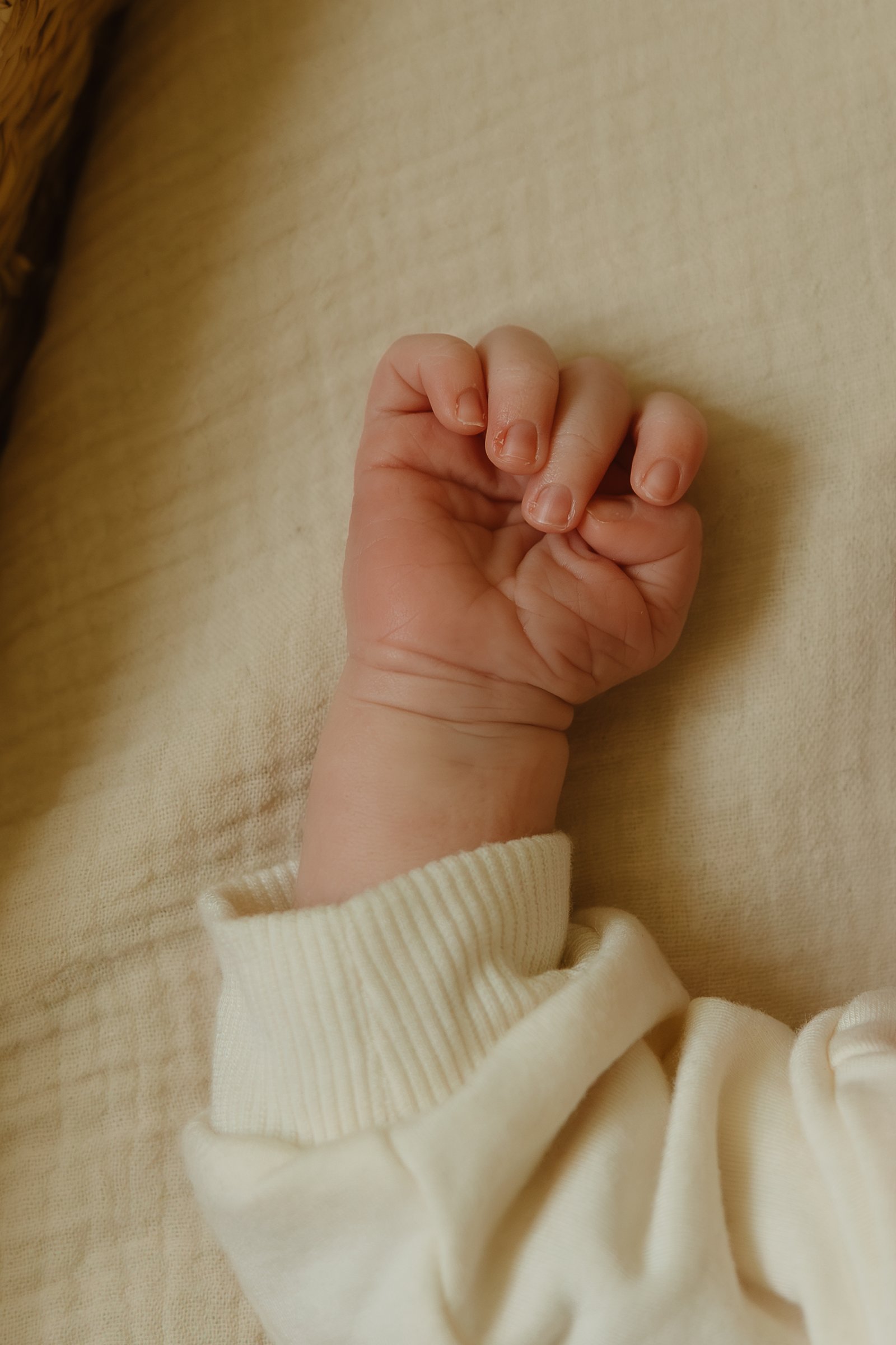 newborn Image